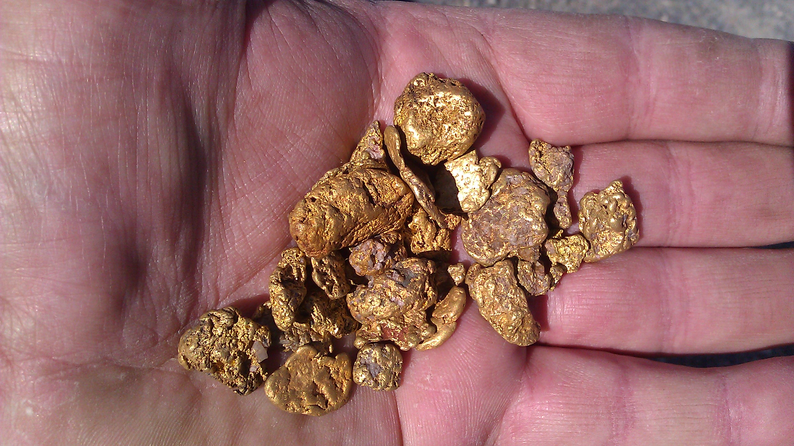 Gold recovered from the Galice Mining District in the summer of 2011